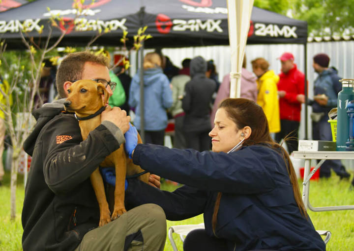 Kopie Von Kopie Von 23 05140811