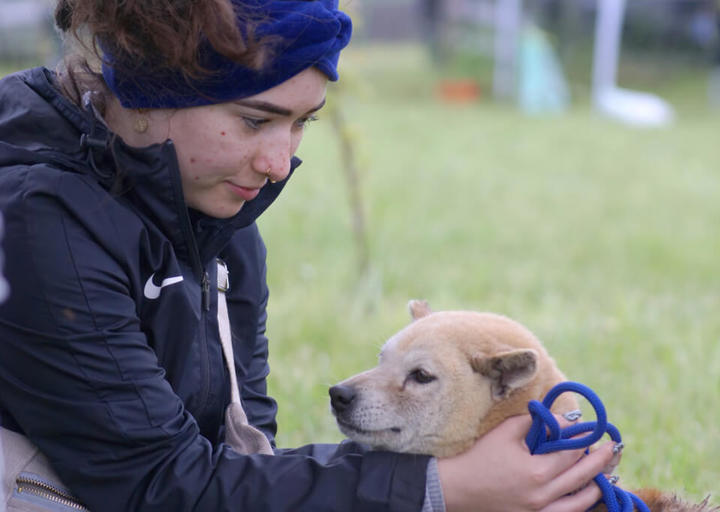 Kopie Von Kopie Von 23 05140677