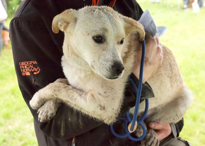 Kopie Von Kopie Von 23 05140932