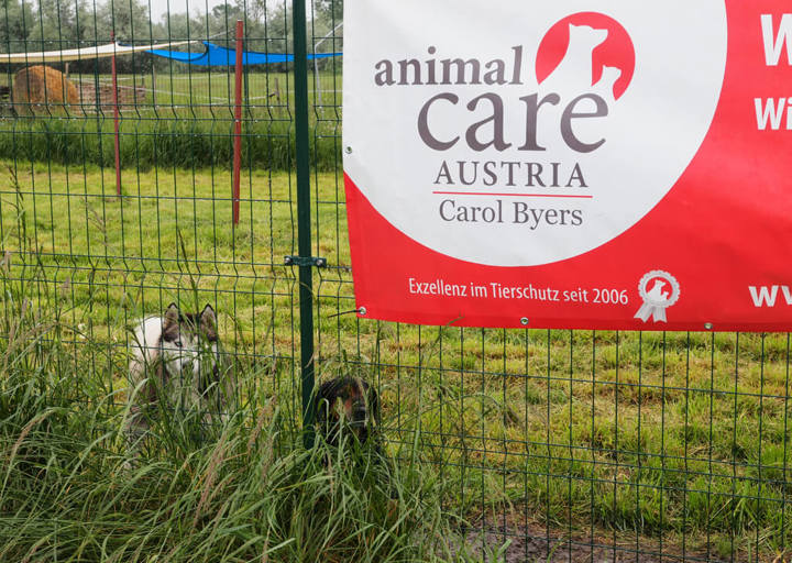 Kopie Von Kopie Von 23 05140085