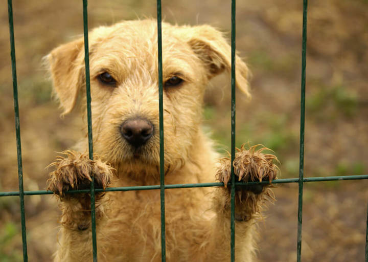 Kopie Von Kopie Von 23 05140990