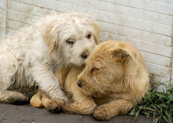 Kopie Von Kopie Von 23 05140617