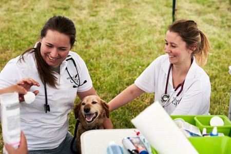 Zwei lachende VetMed-Studentinnen in weißen T-Shirts von Animal Care Austria untersuchen bei einem Care Day einen Hund