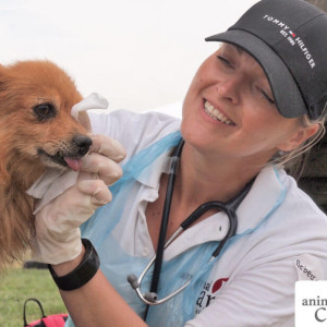 Tierarzt-Mentorin Mag. Rebecca Wraneschitz-Zika bei einem Animal Care Austria Care Day
