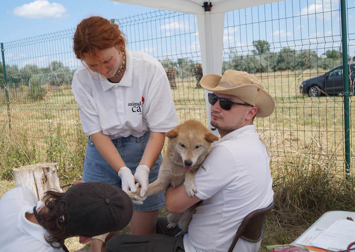 Aca Sarah Olsen DSC03680