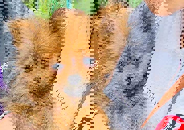 PHOTO 2024 07 04 22 33 19 2