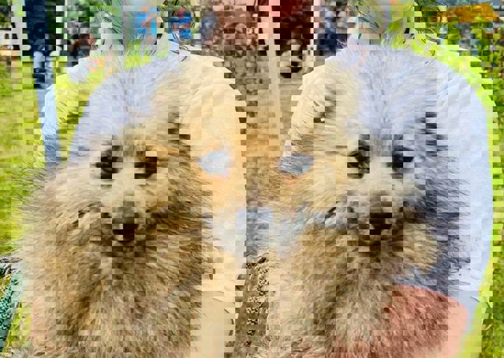 PHOTO 2024 07 04 22 29 44 3