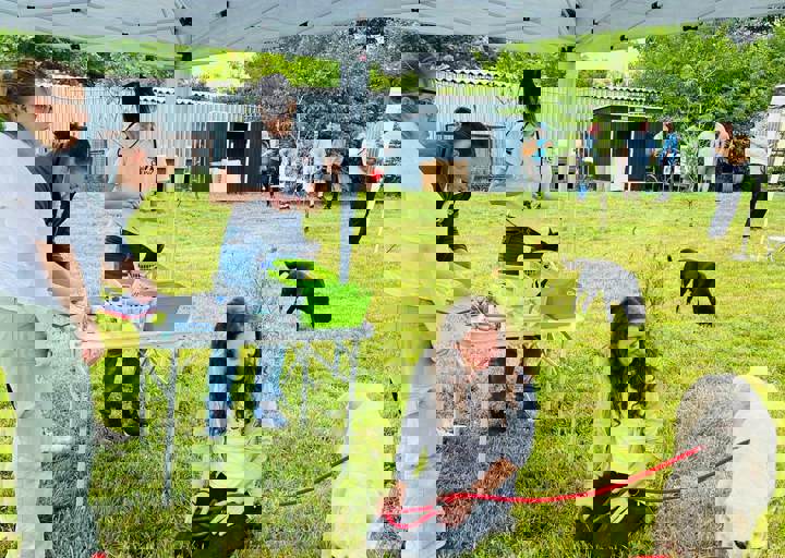 PHOTO 2024 07 04 22 29 44 14