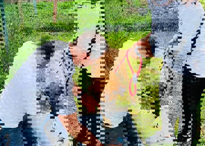 PHOTO 2024 07 04 22 29 44 15