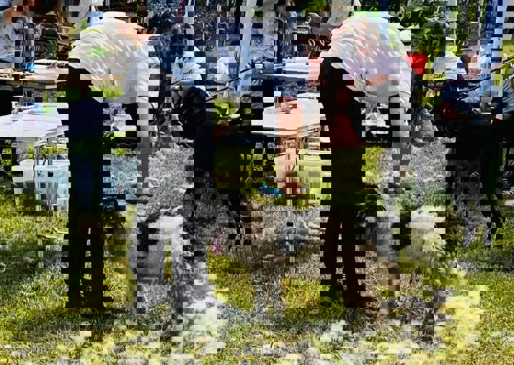 PHOTO 2024 07 04 22 38 22 6