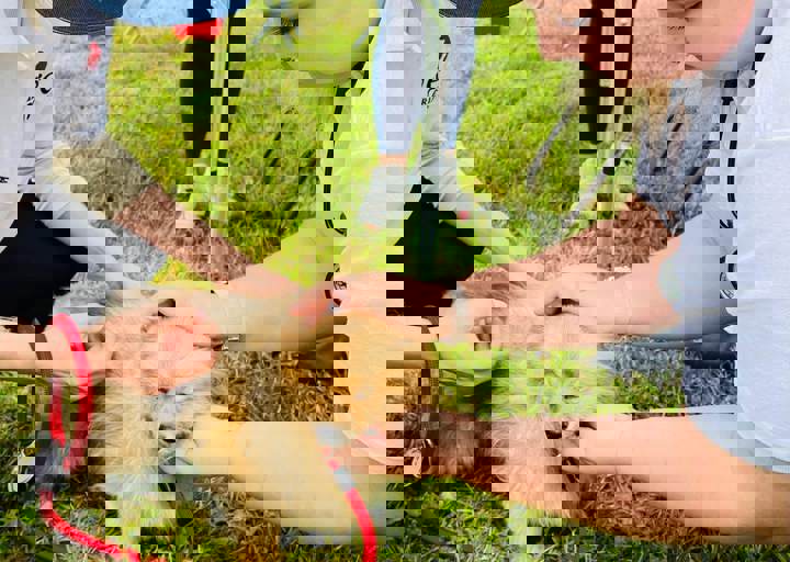 PHOTO 2024 07 04 22 29 44 2