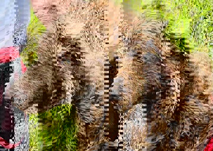 PHOTO 2024 07 05 18 06 51 4