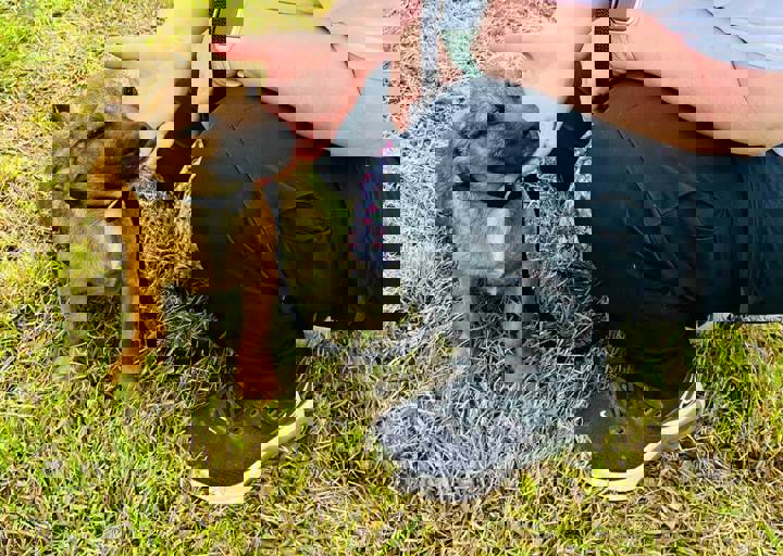 PHOTO 2024 07 05 18 06 49