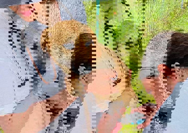 PHOTO 2024 07 05 18 06 51 6