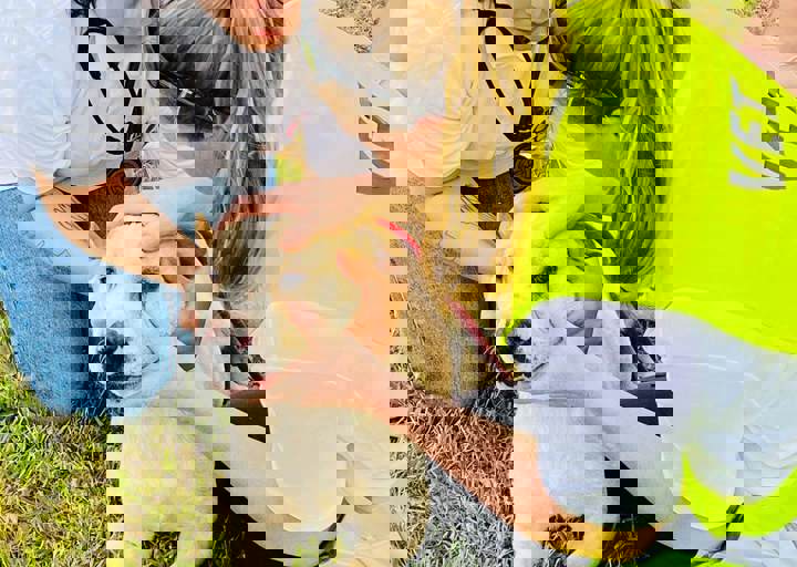 PHOTO 2024 07 04 22 38 19 2