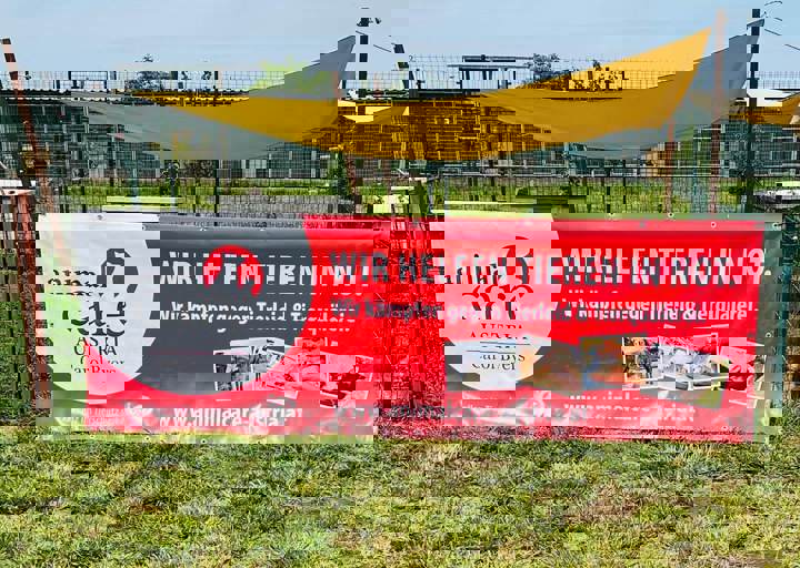 PHOTO 2024 07 04 22 38 22 4