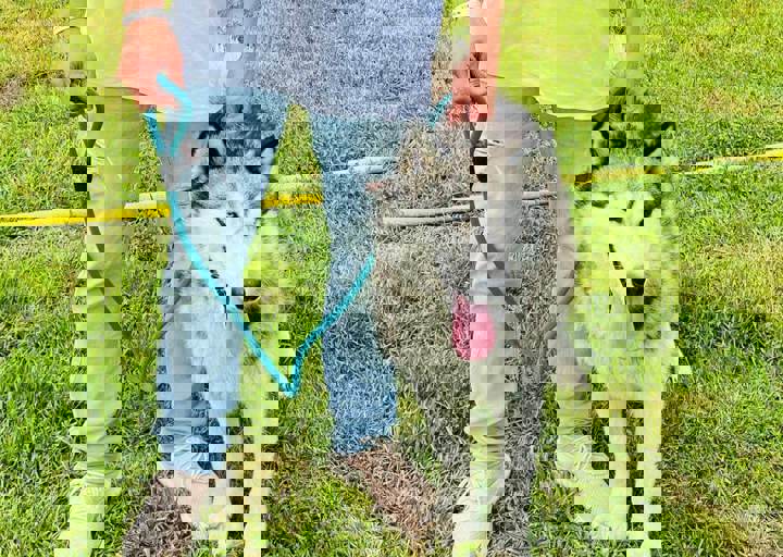 PHOTO 2024 07 04 22 29 44 17