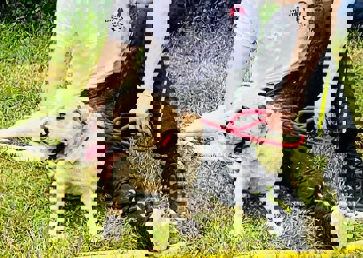 PHOTO 2024 07 04 22 36 11 2