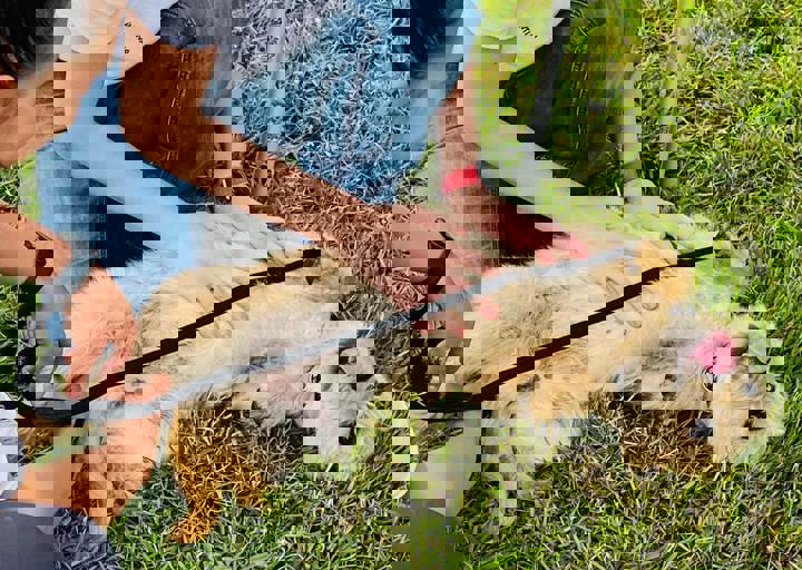 PHOTO 2024 07 04 22 36 11 3