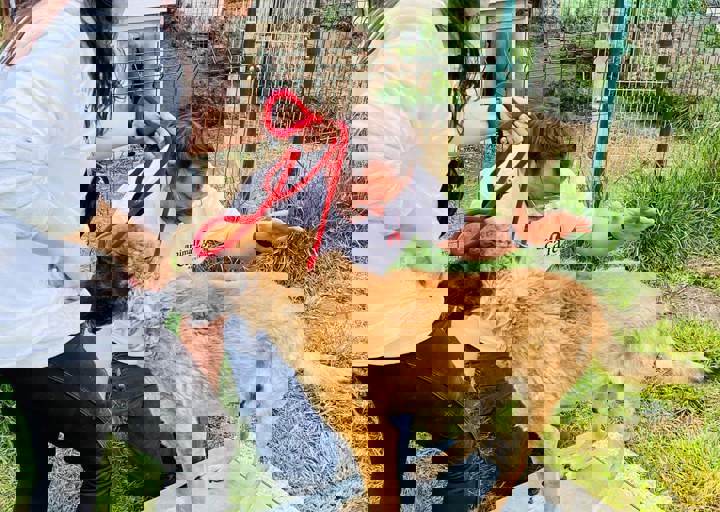 PHOTO 2024 07 04 22 29 44 16