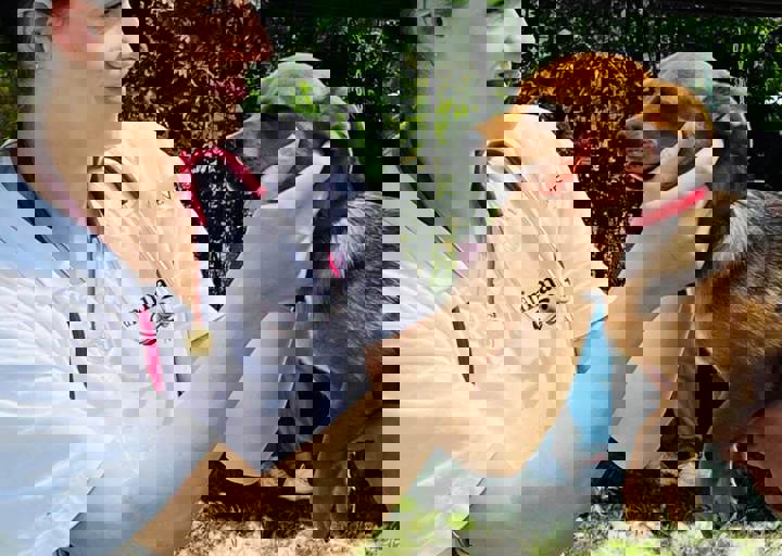 PHOTO 2024 07 04 22 38 22 5