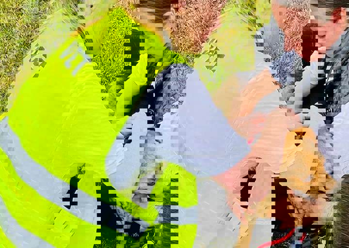 PHOTO 2024 07 05 18 06 51 7