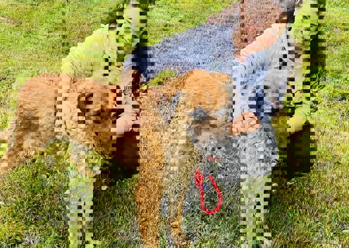 PHOTO 2024 07 04 22 29 44 5