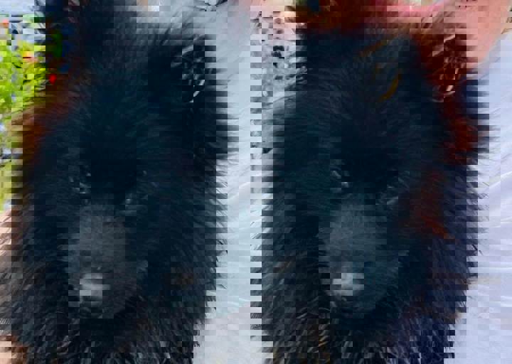 PHOTO 2024 07 04 22 29 44 12