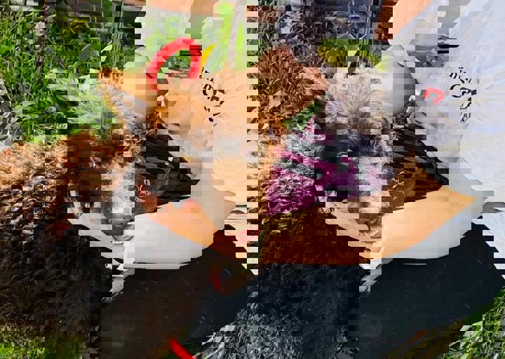 PHOTO 2024 07 04 22 40 38 23