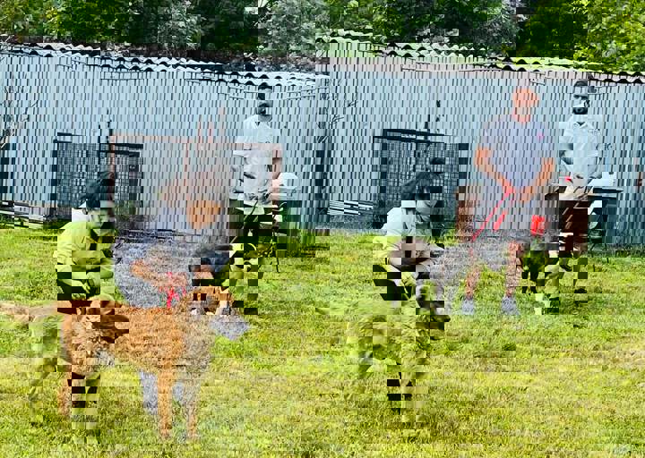 PHOTO 2024 07 04 22 29 44 4