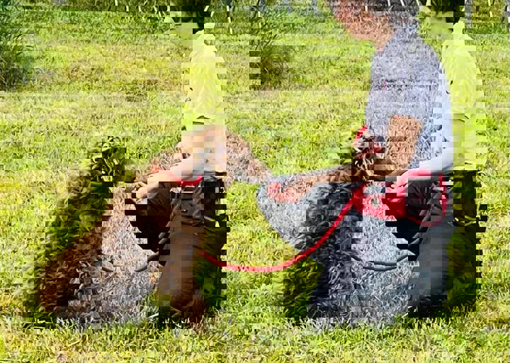 PHOTO 2024 07 05 18 06 51 2