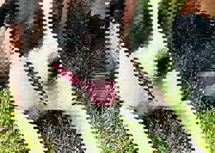 PHOTO 2024 07 04 22 29 44 6