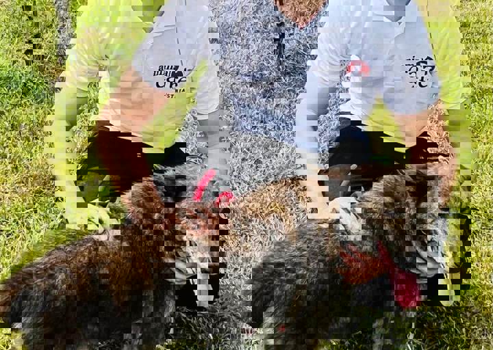 PHOTO 2024 07 04 22 38 22 2