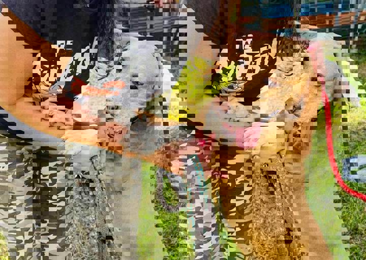 PHOTO 2024 07 04 22 40 38 21