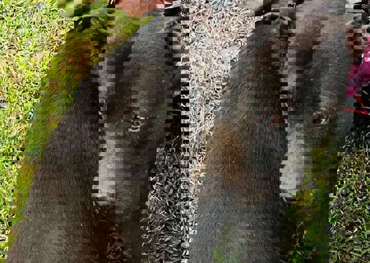 PHOTO 2024 07 04 22 29 44 11