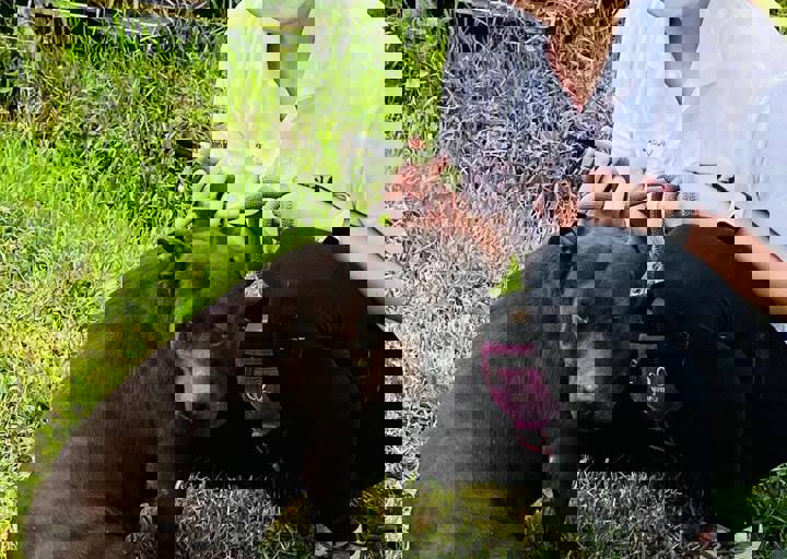 PHOTO 2024 07 04 22 29 44 10