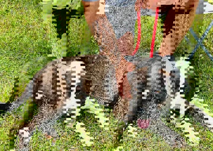 PHOTO 2024 07 04 22 29 44 7