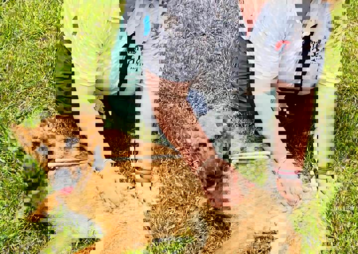 PHOTO 2024 07 04 22 38 22