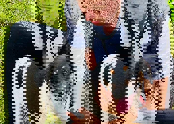 PHOTO 2024 07 04 22 38 21 6