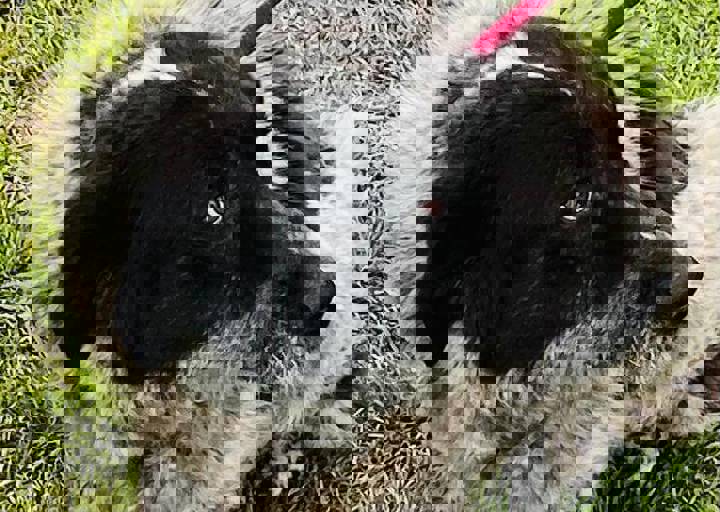 PHOTO 2024 07 04 22 33 21 4