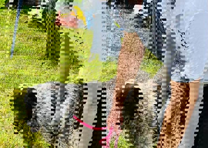 PHOTO 2024 07 04 22 33 21 20