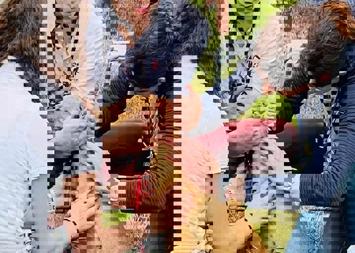 PHOTO 2024 07 04 22 38 21 7