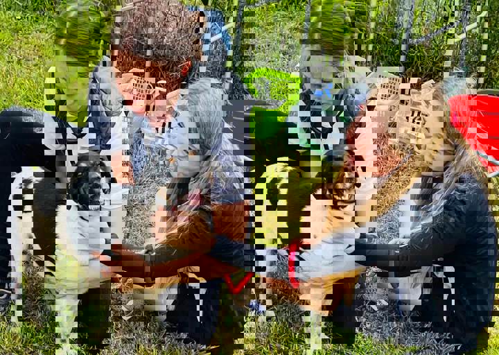 PHOTO 2024 07 04 22 38 21 5