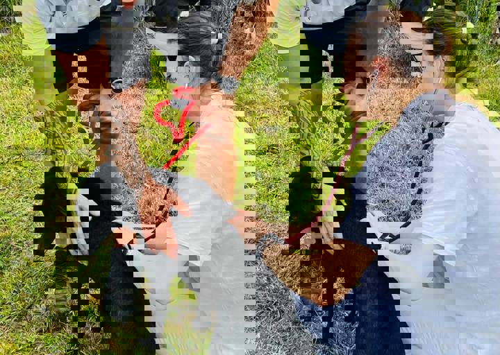 PHOTO 2024 07 04 22 36 12 3