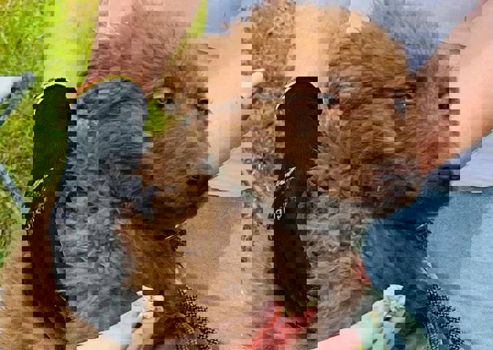 PHOTO 2024 07 04 22 28 13 13