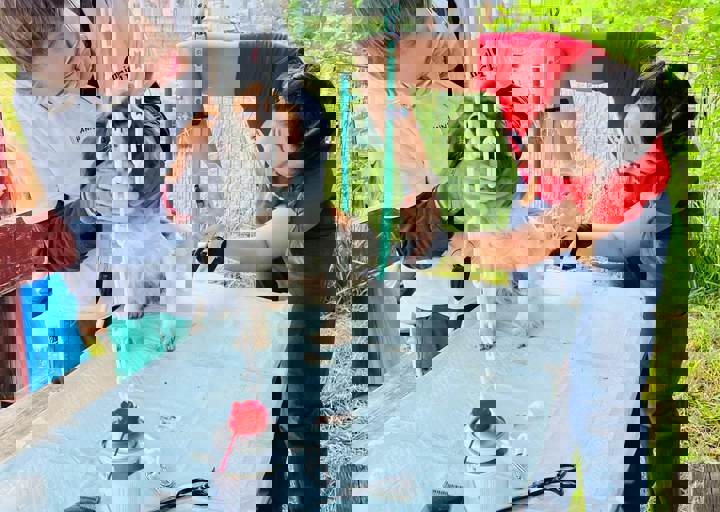 PHOTO 2024 07 05 18 06 50 5