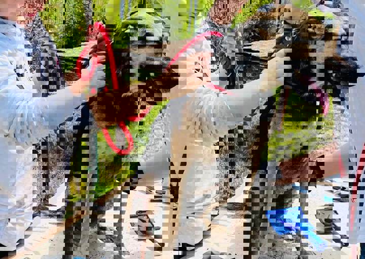 PHOTO 2024 07 04 22 40 38