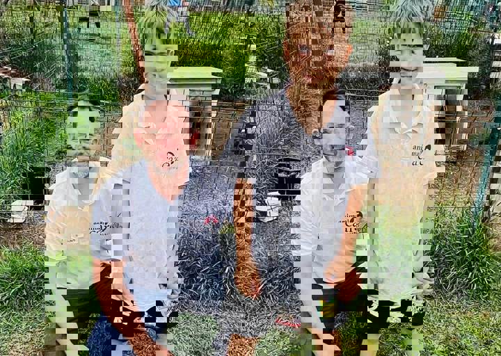 PHOTO 2024 07 04 22 33 21 7