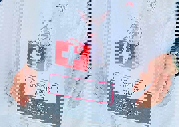 PHOTO 2024 07 04 22 28 13 8