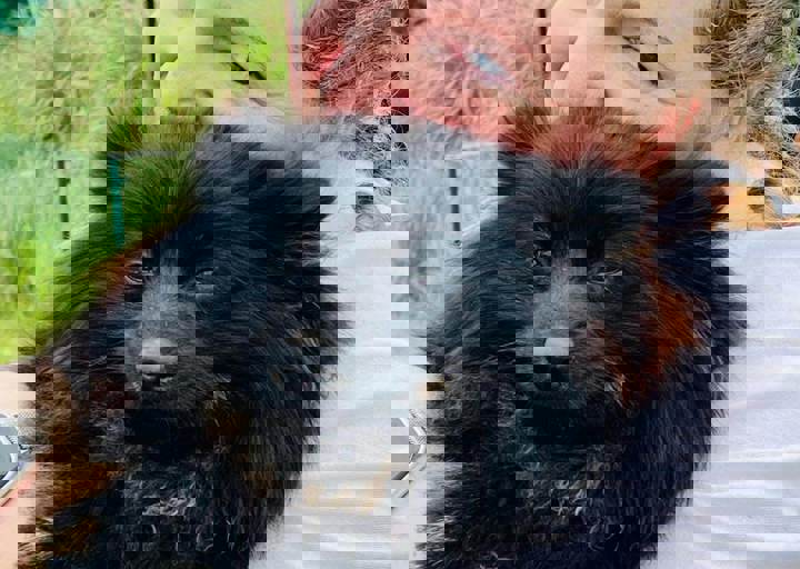 PHOTO 2024 07 05 18 06 52 6